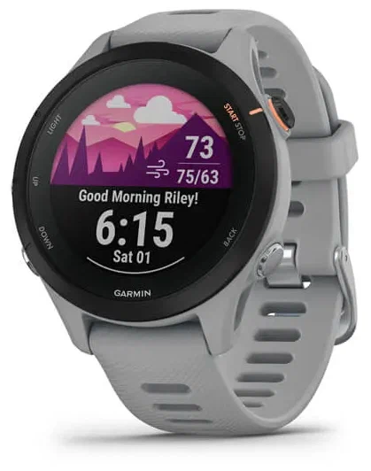 Умные часы Garmin Forerunner 255S 41 мм, серый (010-02641-12)