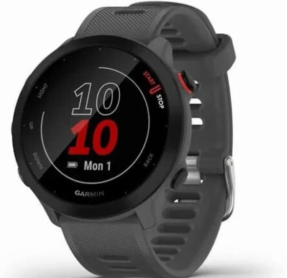 Умные часы Garmin Forerunner 55 42 мм, серый (010-02562-13)