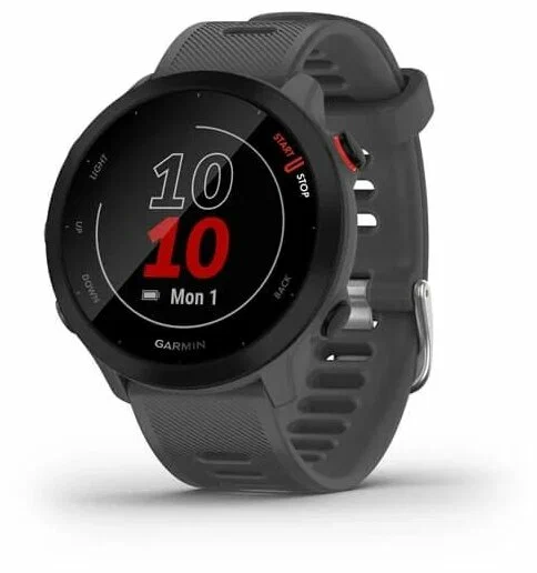 Умные часы Garmin Forerunner 55 42 мм, серый (010-02562-13)