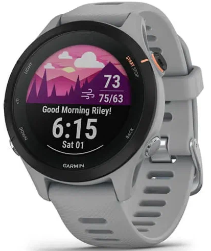 Умные часы Garmin Forerunner 255S 41 мм, серый (010-02641-12)