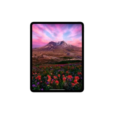 Apple iPad Pro M4 2024 13'' 512 ГБ Wi-Fi, серебристый