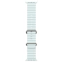 Apple Watch Ultra 2 2024 49 мм, корпус из натурального титана, ремешок Ocean голубого цвета