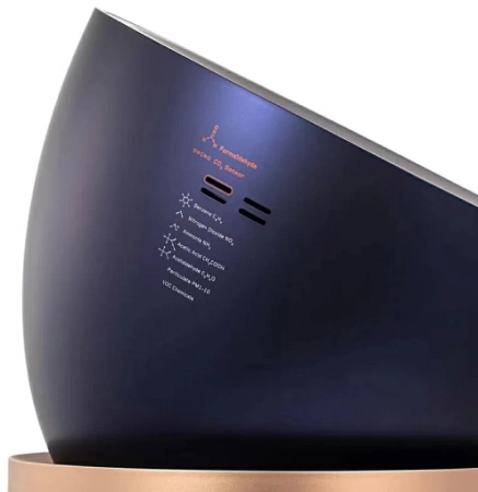 Очиститель воздуха Dyson Purifier Big+Quiet Formaldehyde BP04