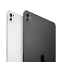 Apple iPad Pro M4 2024 13'' 2 ТБ Wi-Fi+LTE, серебристый